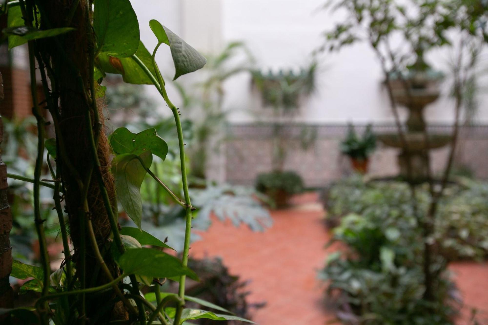 Apartment Con Sabor A Málaga
